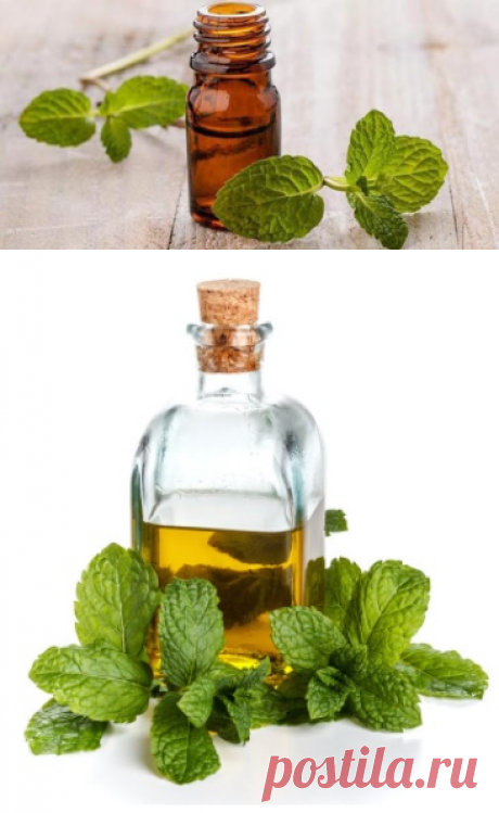 Ментоловое масло: применение для здоровья и красоты
Ментол – это органическое вещество, которое получают синтетически или выделяют из мятного эфирного масла.

Ментол имеет довольно широкий спектр применения. Во-первых, он популярен в фармацевтике и входит в состав многих лекарственных препаратов. Из него изготавливают обезболивающие, противовирусные препараты. Ментол является основной составляющей всем известного валидола.

В пищевой отрасли его добавляют в процессе изготовления