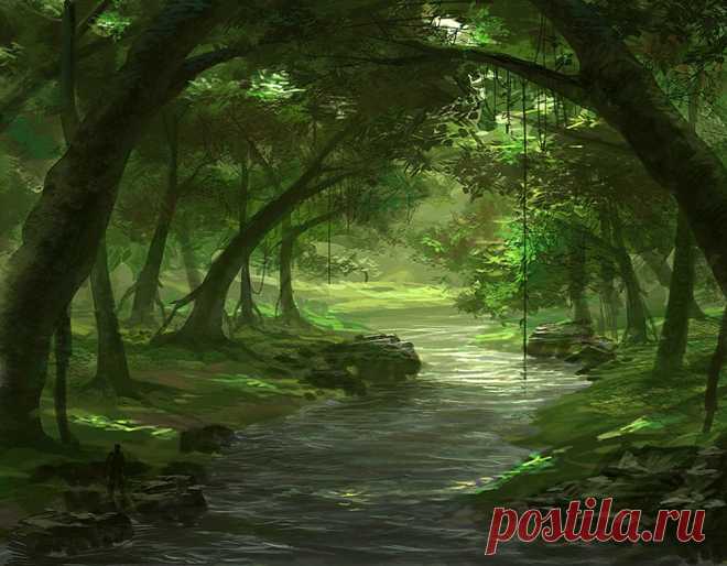 Forest River