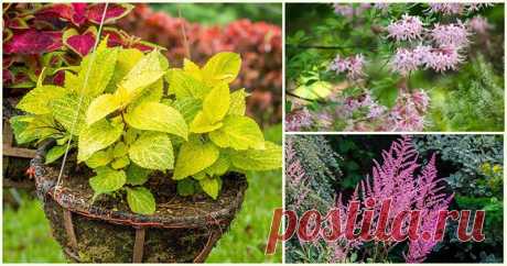 Новости - МирТесен