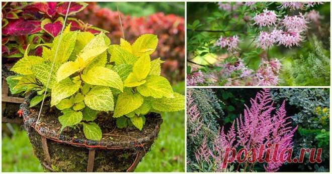 Новости - МирТесен