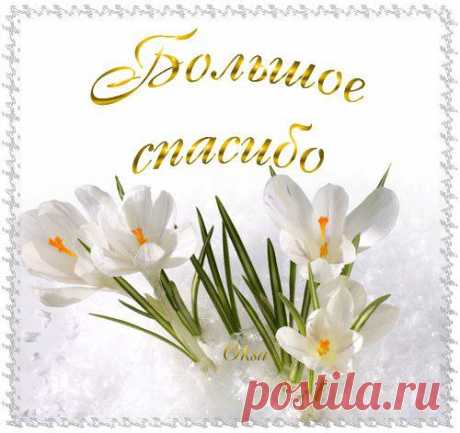 Татьяна-Семеновна Ноженькина