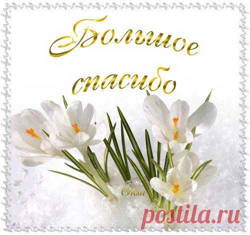 Татьяна-Семеновна Ноженькина