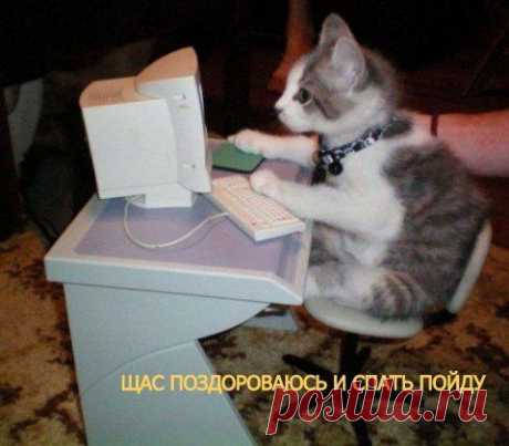 Домашний сисадмин. | KotoMail.ru