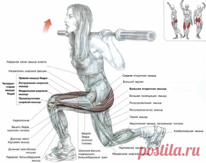 Качать попу в домашних условиях для девушек (37 фото) ⭐ Забавник