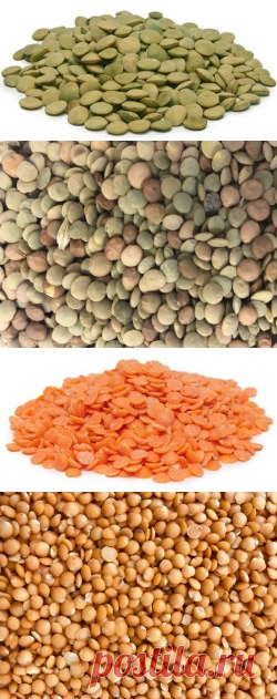 Чечевицу купить в Москве  | Шеф Орех - интернет-магазин орехов и сухофруктов.