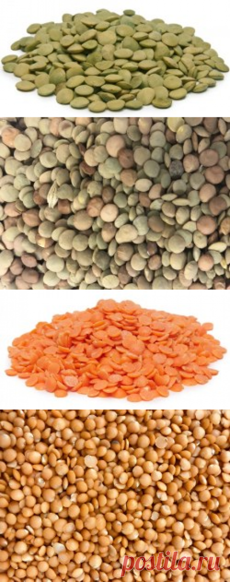 Чечевицу купить в Москве  | Шеф Орех - интернет-магазин орехов и сухофруктов.