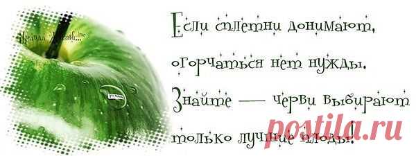 если сплетни...