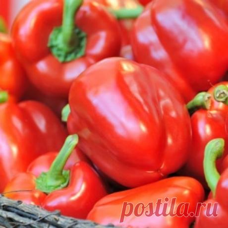 Суперурожай перца – 9 "работающих" советов