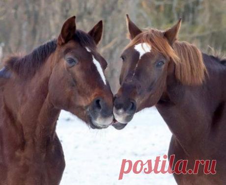 Очаровательно!