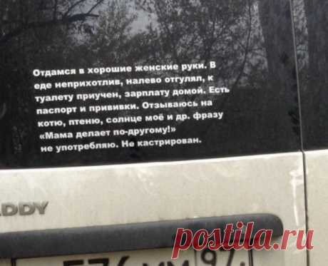 23 очень смешных объявления, которые поражают своей убедительностью