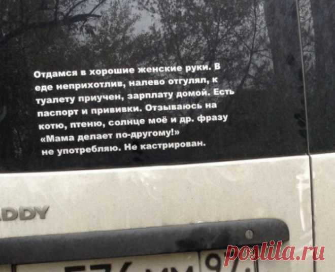 23 очень смешных объявления, которые поражают своей убедительностью