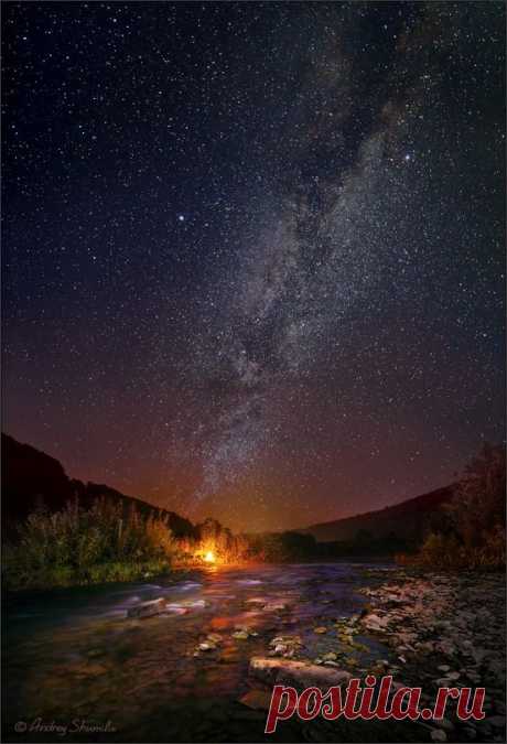 Billions and Billions - renamonkalou: Under the Stars