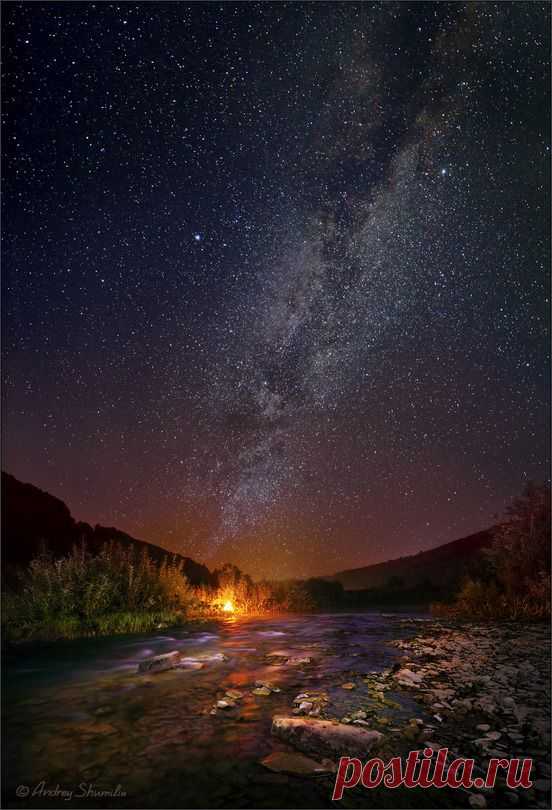 Billions and Billions - renamonkalou: Under the Stars