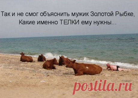 FISHKI.NET - Фотографии Хроники