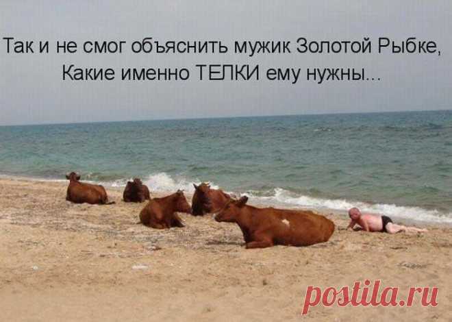 FISHKI.NET - Фотографии Хроники