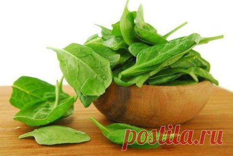Топ-9 полезных продуктов для щитовидной железы 
Чтобы улучшить работу щитовидной железы и защитить ее от гормональных сбоев, регулярно корми щитовидку полезными продуктами, среди которых:
Продолжение на сайте: https://n1.poreceptiku.ru/top-9-poleznyx-produktov-dlya-shhitovidnoj-zhelezy.html