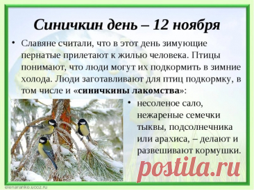 Пусть синичка принесёт вам удачу, воробей — радость, а снегирь — красоту зимы! Пусть дом наполнится смехом и светом, а сердце — добром.
Открытки на Синичкин день