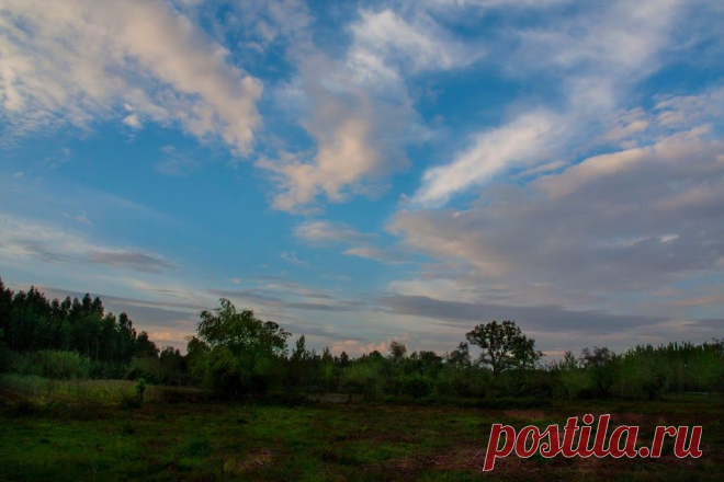 Nature Photography – Сообщество – Google+