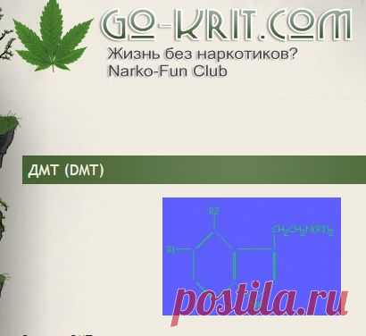 ДМТ (DMT) » Жизнь без наркотиков? Энциклопедия наркотиков, как бросить принимать наркотики