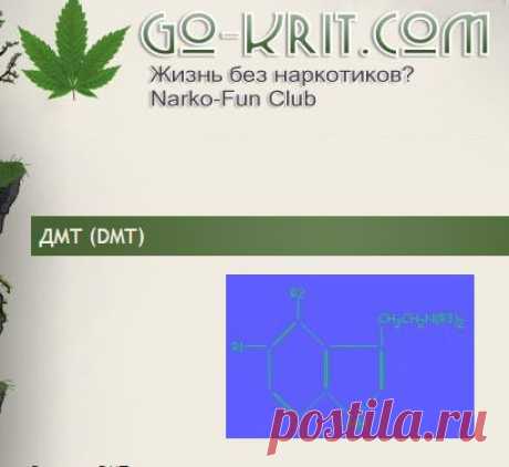 ДМТ (DMT) » Жизнь без наркотиков? Энциклопедия наркотиков, как бросить принимать наркотики