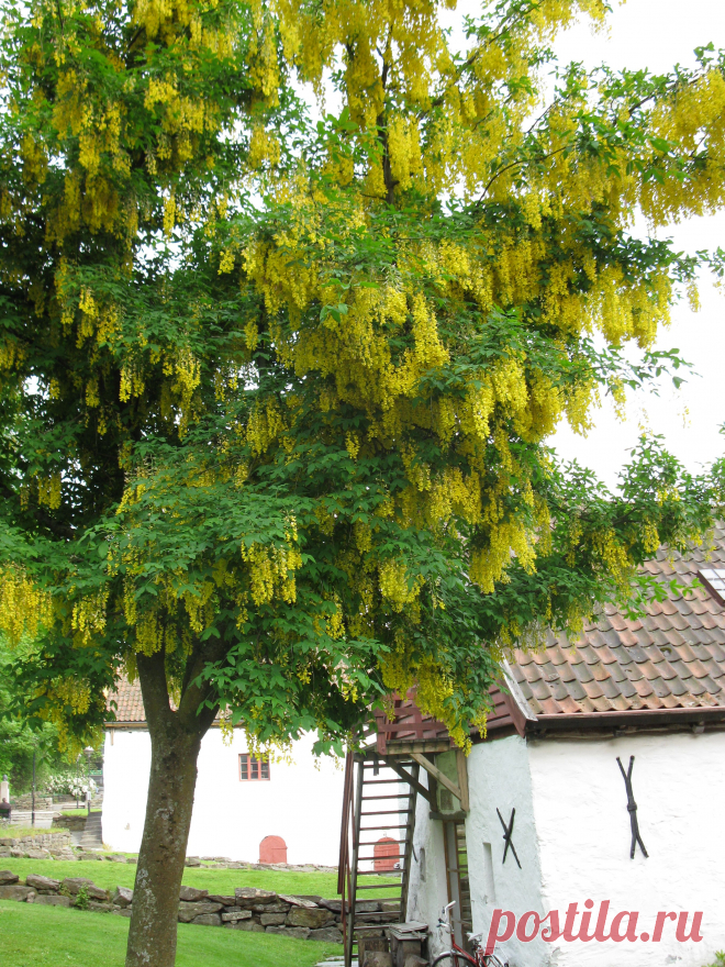 Норвегия. Берген. Амбары в Старом городе.