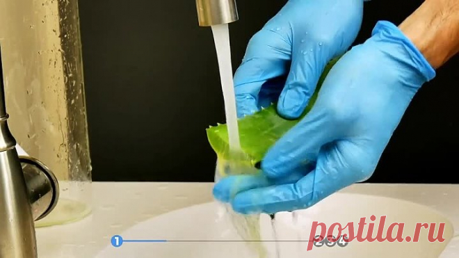 4 Рецепта на любой случай. Это комнатное растение должно быть в каждом доме