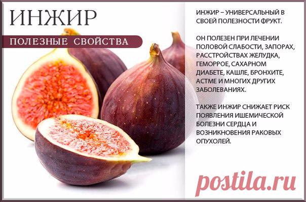 ИНЖИР ПОЛЕЗНЫЕ СВОЙСТВА