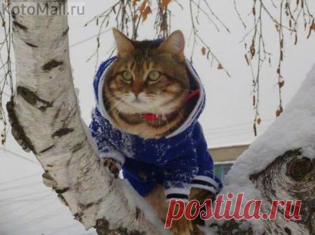 Васенька на прогулке