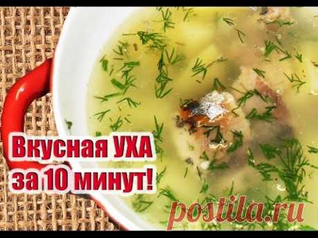 Уха за 10 минут! Вкусно! РЫБНЫЙ ДЕНЬ!