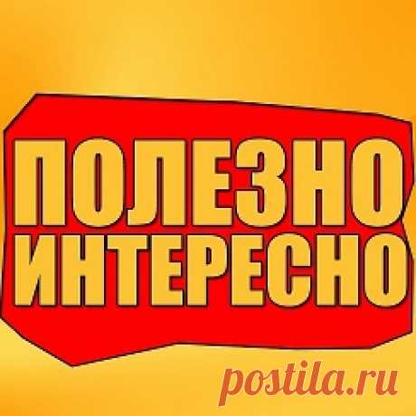 Благодаря совету брата жены, смородина преобразилась: завязей много и ягоды крупные. Благодаря совету брата жены, смородина преобразилась: завязей много и ягоды крупные.
Источник: https://blogjenshini.ru/blagodarya-sovetu-brata-zheny-smorodina-preobrazilas-zavyazey-mnogo-i-yagody-krupnye/