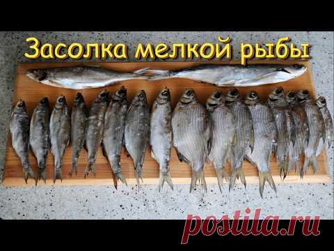 Засолка Рыбы. Выпуск №242