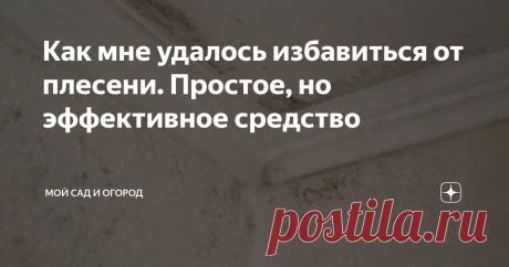 Как мне удалось избавиться от плесени. Простое, но эффективное средство Помню, как в студенческие годы жила в общежитии - плесень в нем была настолько привычным явлением, что никто даже не обращал на нее внимания.
Конечно, я не раз пыталась избавиться от этой напасти, но все мои старания так и не увенчались успехом – плесень исчезала максимум на 5 дней, а потом снова появлялась на привычном месте.
Когда я переехала в квартиру, про плесень, к счастью, даже не