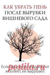 КАК ЛЕГКО УДАЛИТЬ (ВЫКОРЧЕВАТЬ) ПЕНЬ НА ДАЧЕ