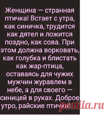 Выпуск №6764 - выпуск анекдотов сайта вокруг смеха