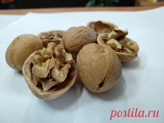 Здоровая пища: орехи