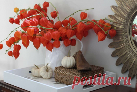 Фото-советы по оформлению осеннего интерьера | Lavanda-decor | Яндекс Дзен