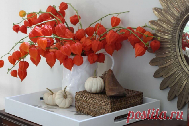 Фото-советы по оформлению осеннего интерьера | Lavanda-decor | Яндекс Дзен