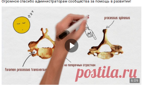 Друзья! Предлагаю Вашему вниманию мои "рисованные" видеоуроки по анатомии, которых я сделал уже 5. Приятного просмотра!
