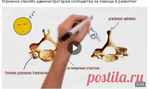 Друзья! Предлагаю Вашему вниманию мои "рисованные" видеоуроки по анатомии, которых я сделал уже 5. Приятного просмотра!