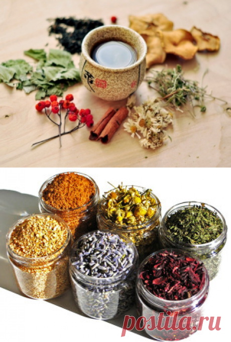 ВАЖНЫЕ ПРАВИЛА ТРАВЯНОГО ЧАЯ...