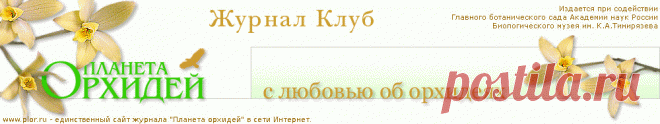 Болезни орхидей. Консультация специалиста.