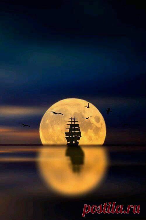 **Reflection + Waterfalls**