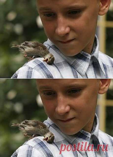 Ольга Карклин
