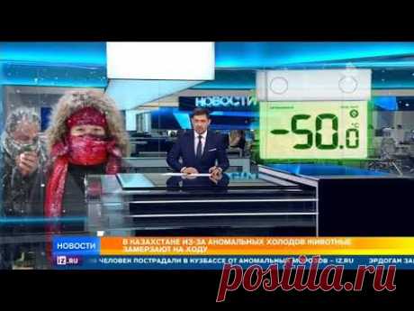 Мороз -40 ,замерзает все живое