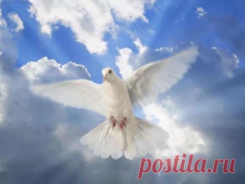 Духов день 5 июня 2023 года: обычаи, традиции и приметы Празднование Духова Дня — важное событие в православной религии. Его дата меняется год от года и зависит от времени празднования Светлой Пасхи. В 2023 году соблюсти добрые традиции и обычаи этого дня сможет каждый.