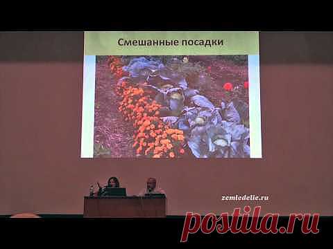 Умный сад, хитрый огород. Видео.