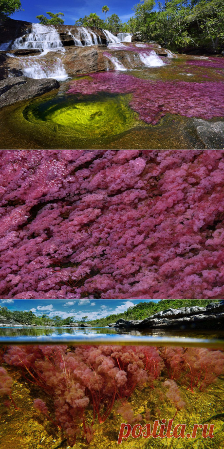 На самой красивой реке мира - Каньо Кристалес
