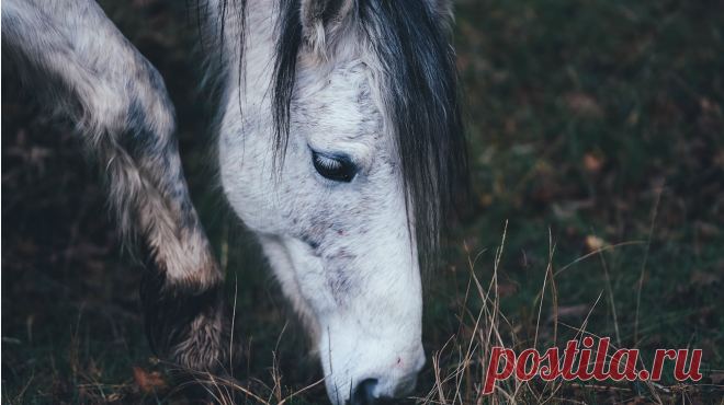 1000 способов заработать на мечте, С-уровень вашей жизни и чему учил Курт Воннегут Мудрая. Вдохновляющая. Любимая всем МИФом Барбара Шер написала книгу, задевшую самую чувствительную струну. «Работа твоей мечты» ( — о том, как совмещать жизнь мечты, оплату счетов и содержание семьи. Барбара собрала 1000 идей, которые помогут найти место любимому делу и не остаться с дыркой от бублика в кармане. Вы получите конкретные советы, рекомендации и способы, чтобы начать зарабатывать на том, что…