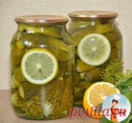 ВКУСНЕЙШИЕ "ПРАЖСКИЕ" ОГУРЧИКИ
На дно литровой банки уклaдываем :
2 зубчика чеснока,
2 лавровых листа,
2 листа смоpoдины,
1 зонтик укропа,
1 см. корня хрена,
3 горошины душистого перца