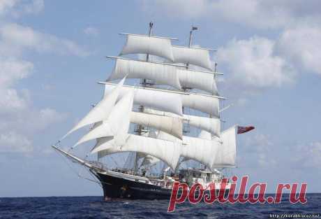 B59VmZTI1EU.jpg (1024×696)